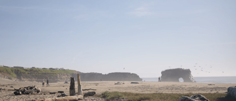 Natural Bridges State Beach