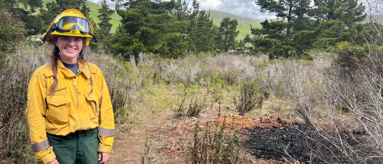 Prescribed Burns