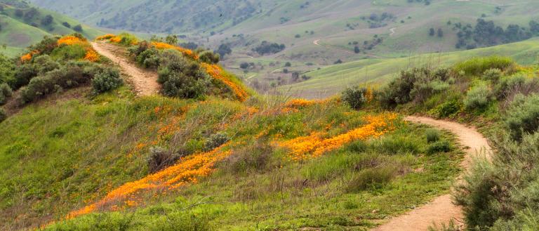 Chino Hills State Park