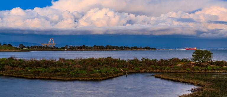 Candlestick Point State Recreation Area