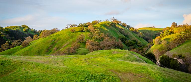 Mount Diablo State Park