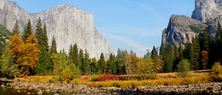 yosemite-hero-image-shutdown-email-jan-2019.jpg