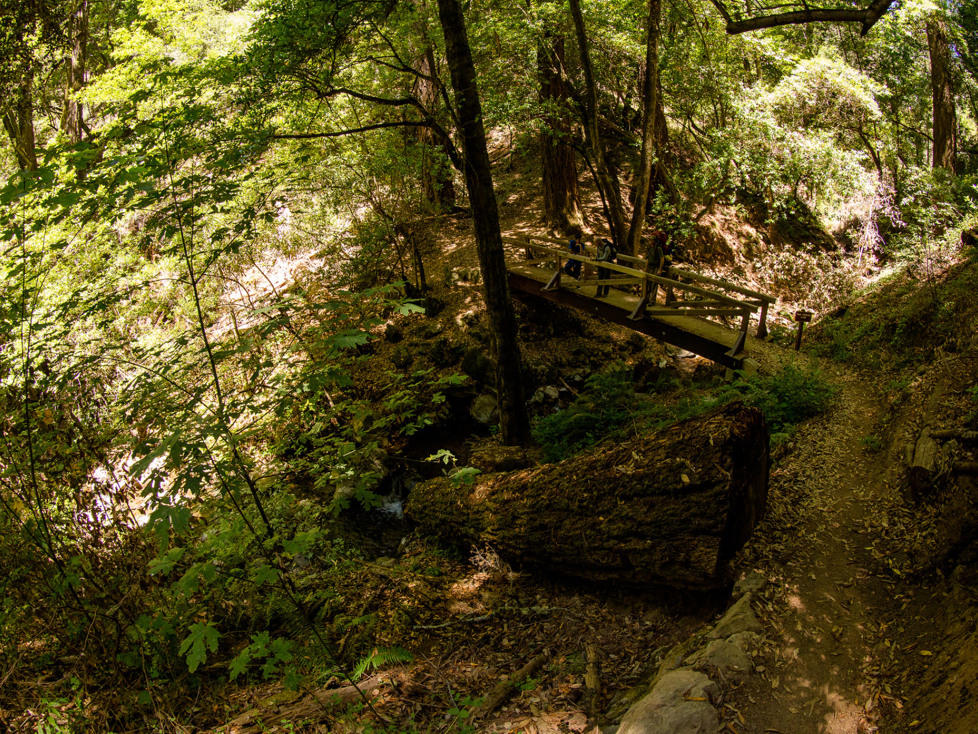  Castle Rock State Park
