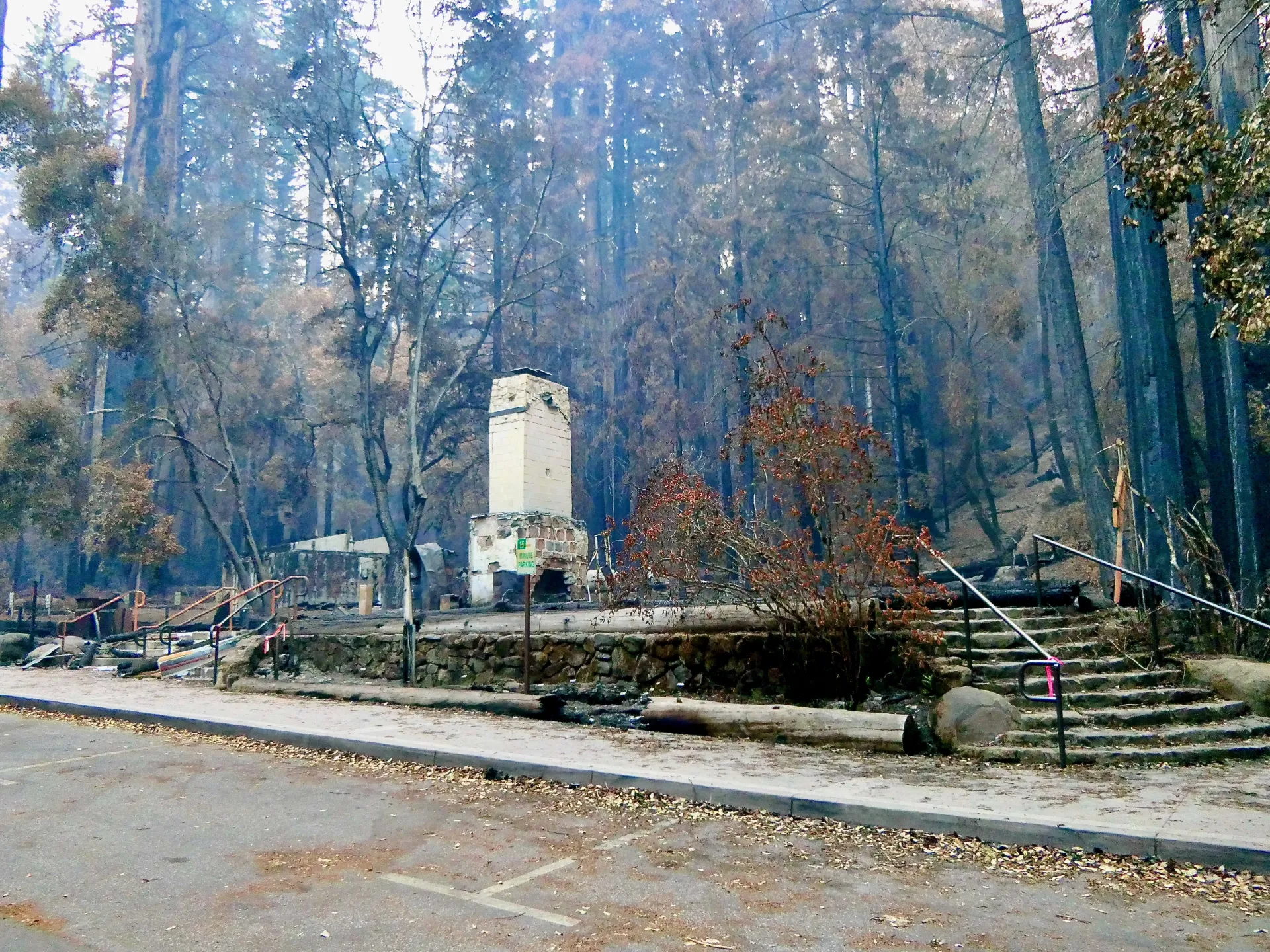 The 2020 CZU Lightning Complex Fire burned through 97% of Big Basin Redwoods State Park, destroying the historic visitor (seen above). Rebuilding a more climate-resilient park will require a team of climate experts working together to build climate resilience into all aspects of park management. 