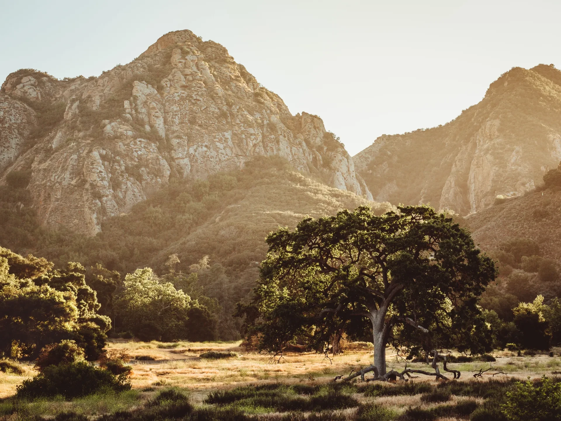 Malibu Creek State Park