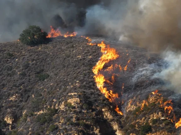 Palisades Fire 2025