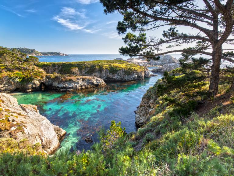 Point Lobos State Natural Reserve