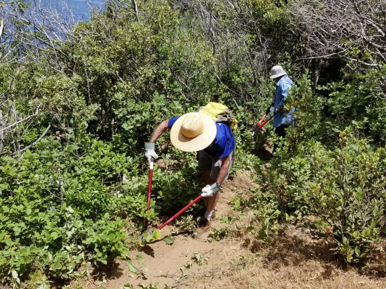 Trail work, Cuyamaca Rancho State Park