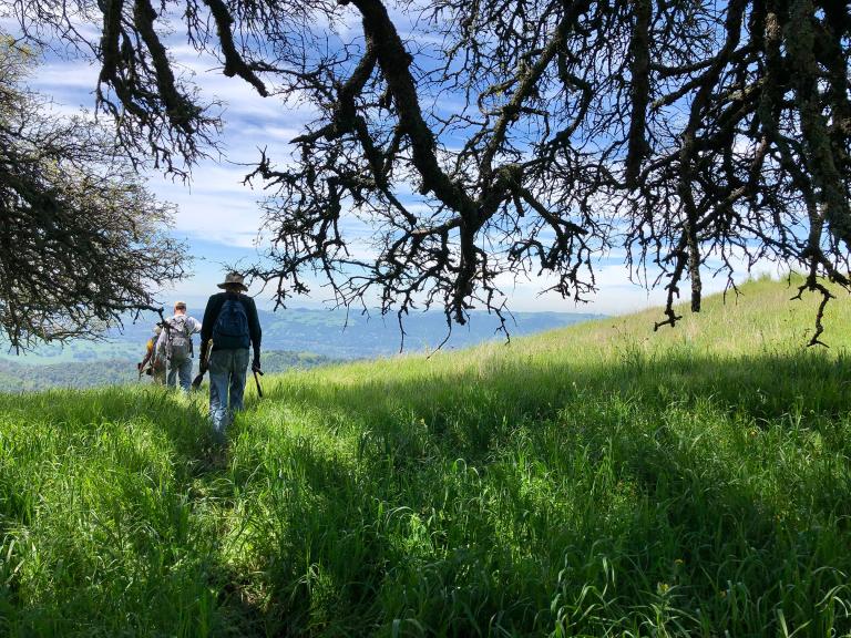 Mount Diablo State Park, spring