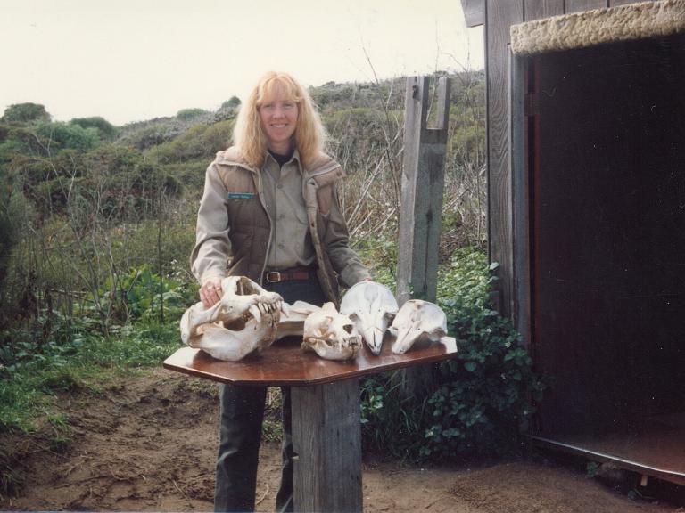 Working, Año Nuevo State Park, 1983