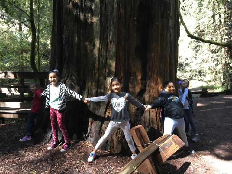 Armstrong Redwoods State Natural Reserve