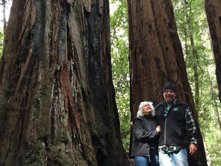 Loving the trees, Big Basin Redwoods State Park