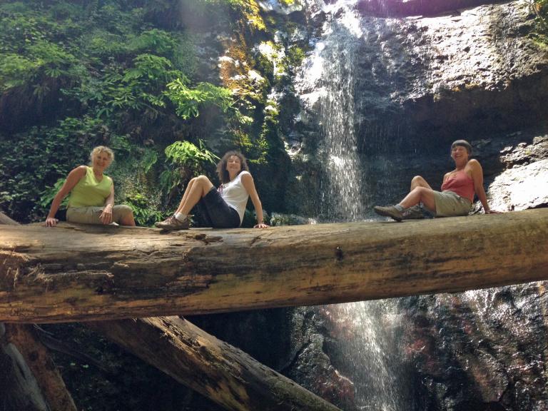 Silver Falls, Big Basin Redwoods State Park