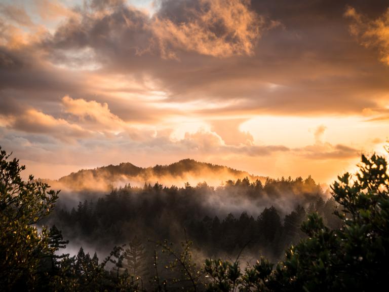 Big Basin Redwoods State Park Sunset