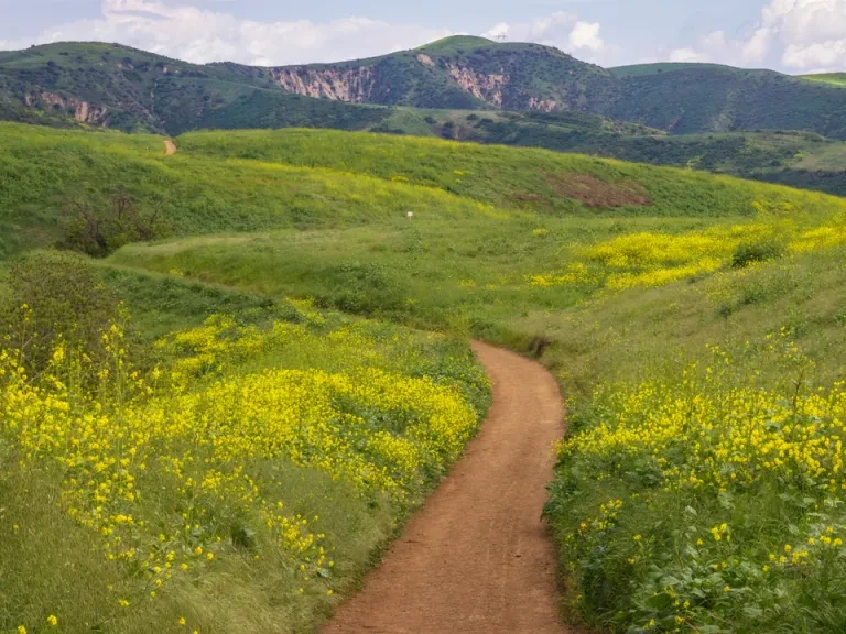 Chino Hills State Park Trail