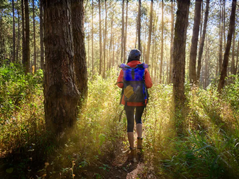 Woman wearing backpack walking through forest trail during the morning. 