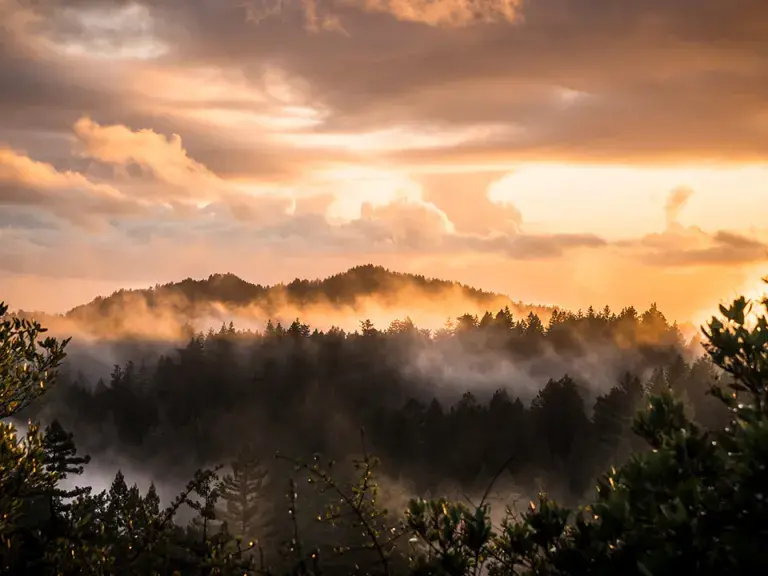 Big Basin Redwoods State Park