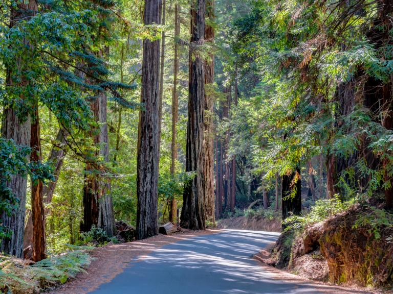 Big Basin