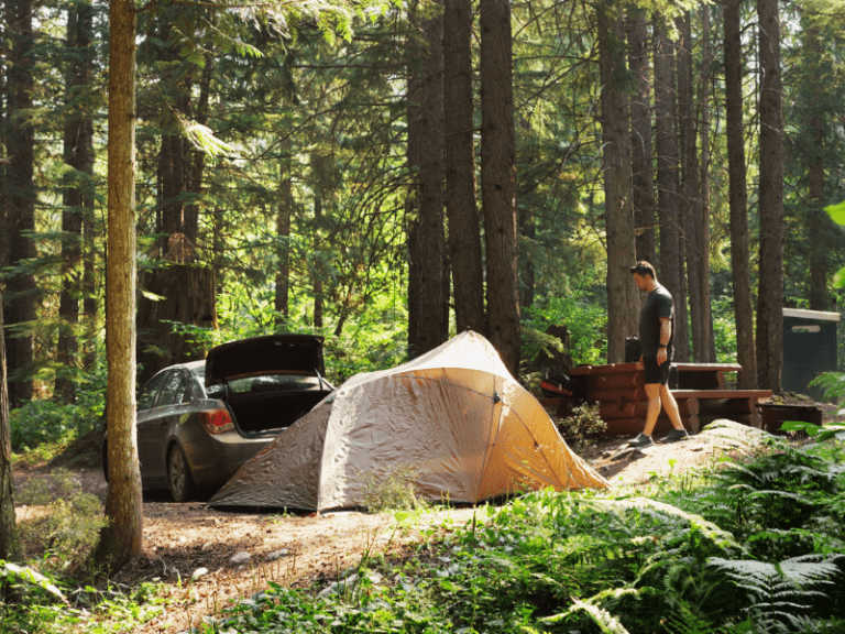 Redwoods Park