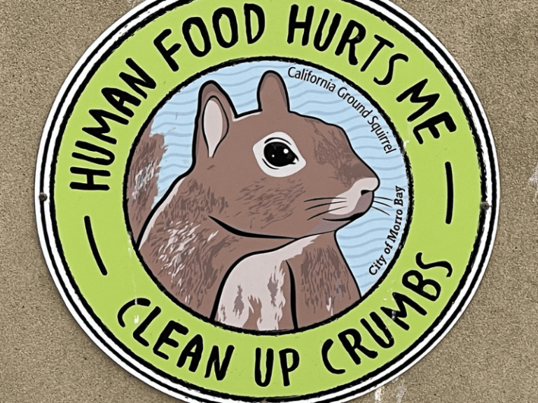 Keep parks crumb clean