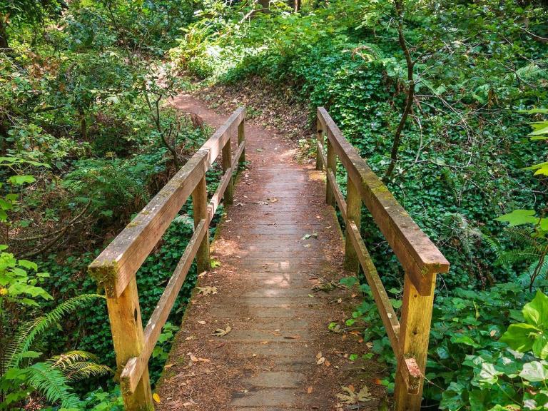 Butano State Park