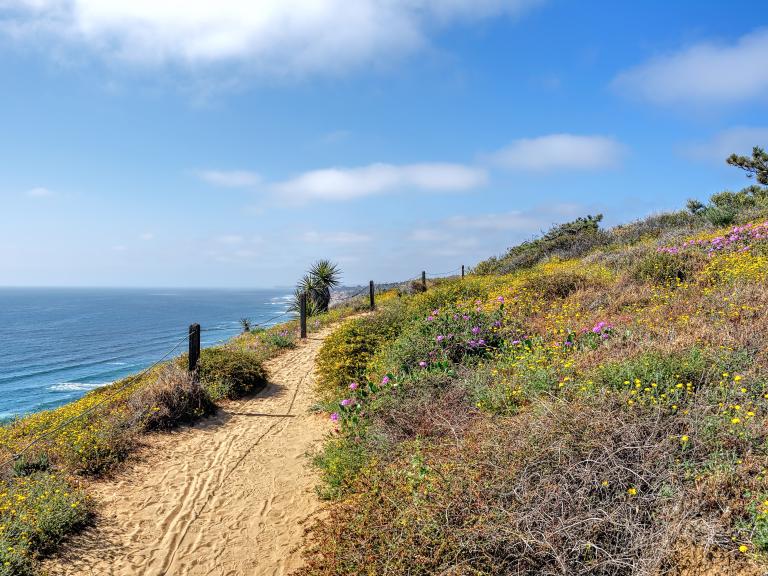Torrey Pines State Natural Reserve