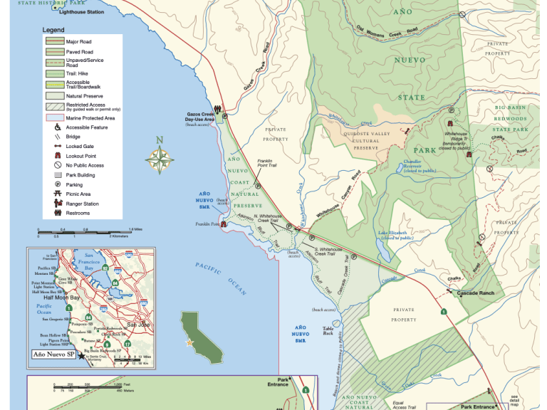 Ano Nuevo