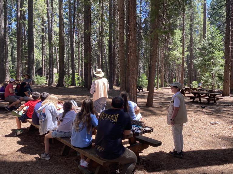 Calaveras Big Trees