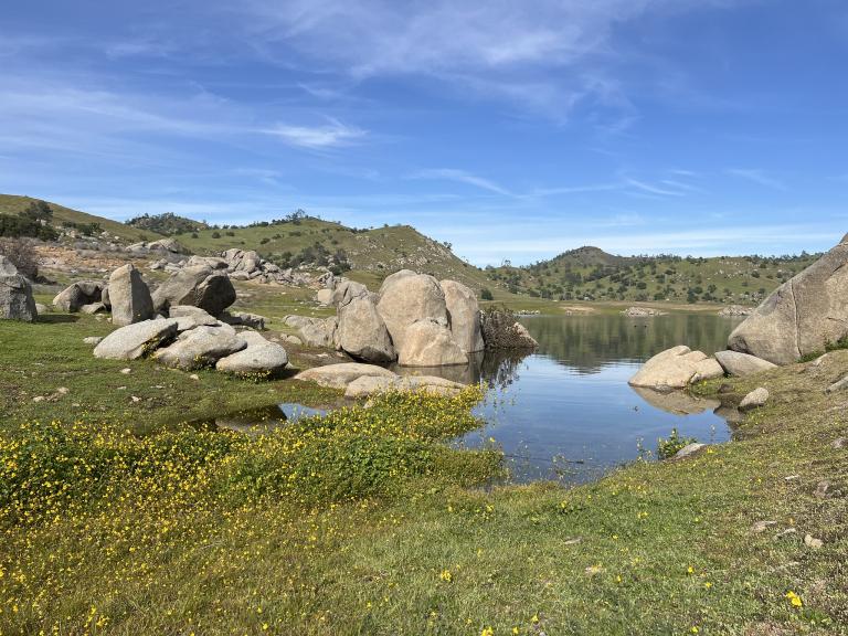 beautiful state park scenery of small pond with large rocks on the shorline and rolling green hills in the background