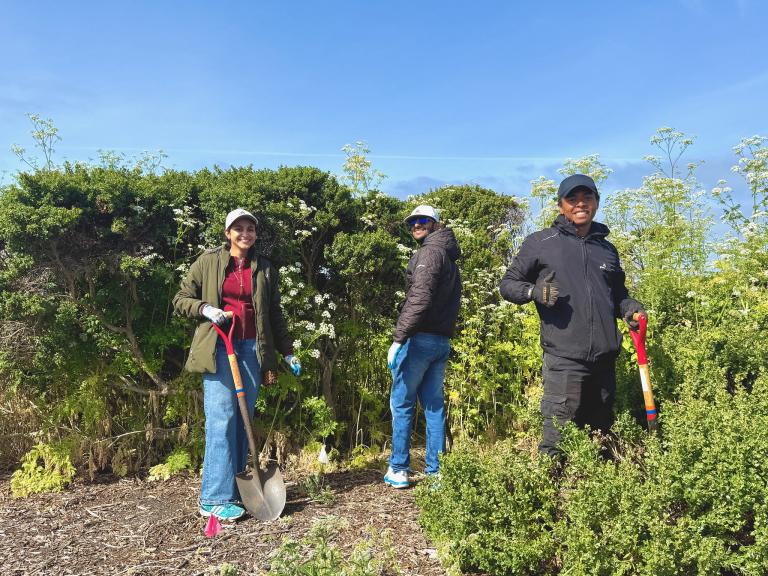 Volunteer team trimming back overgrowth