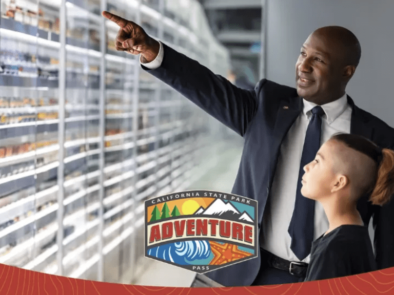 California State Park Adventure Pass: Man showing young child model trains. 