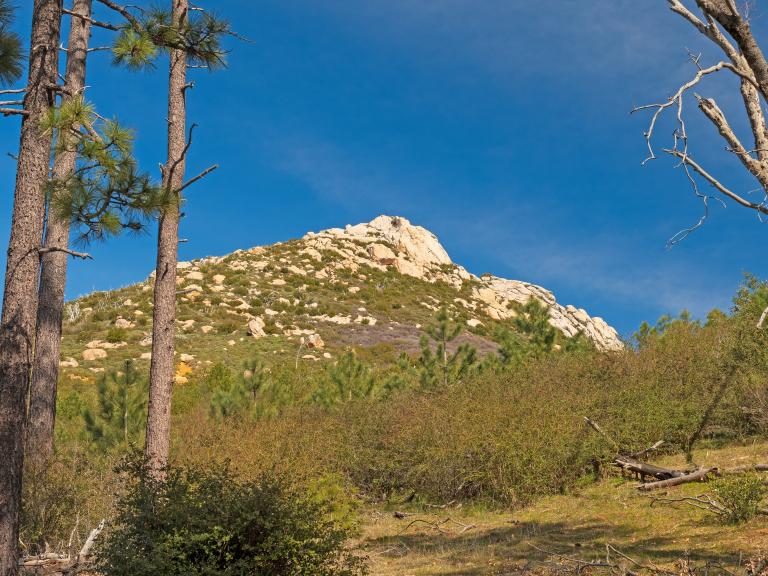 Stonewall Peak Framed by the Trees in Cuyamaca Racho State Park