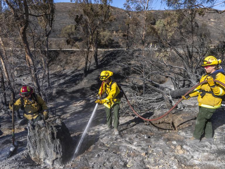 Palisades Fire