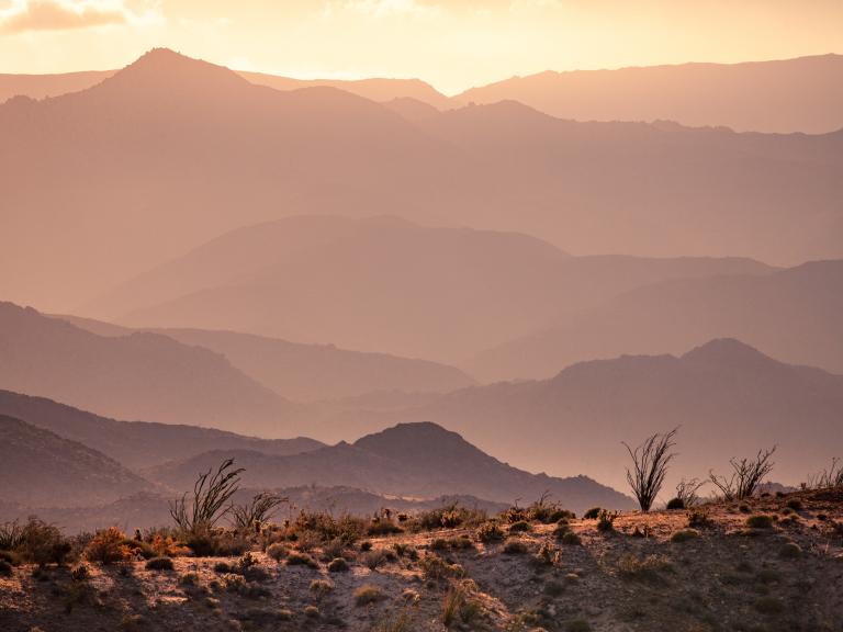 Anza-Borrego Desert State Park