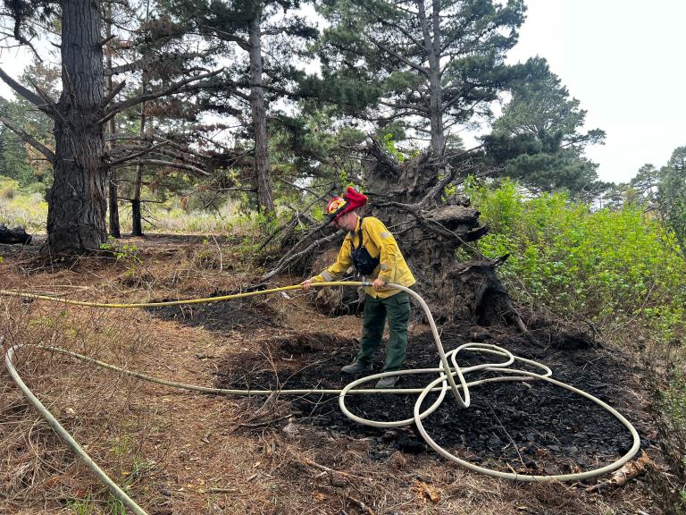 California State Parks Prescribed Burns 