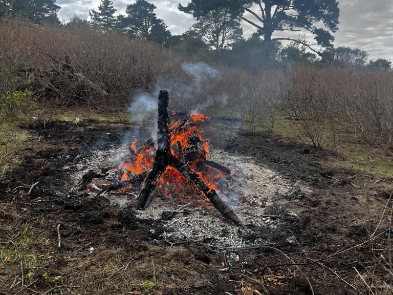 California State Parks Prescribed Burns 
