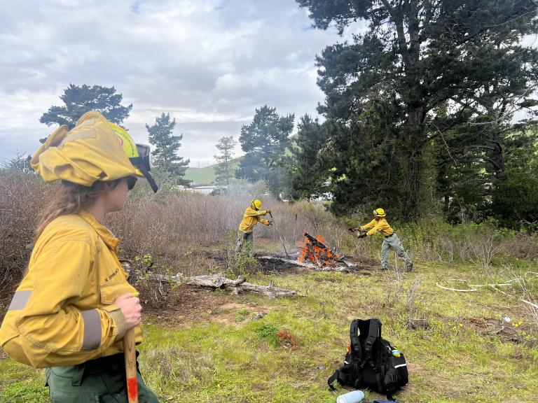 California State Parks Prescribed Burns 