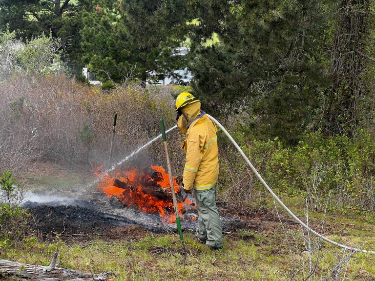 California State Parks Prescribed Burns 