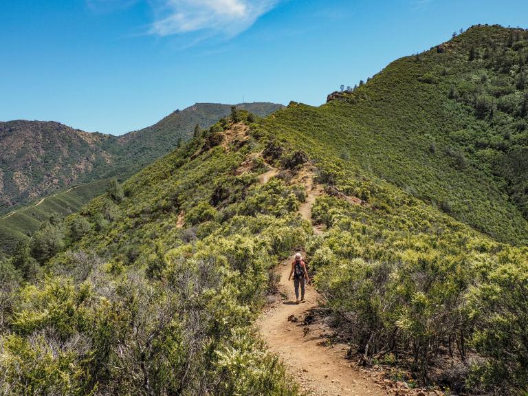 Mount Diablo State Park