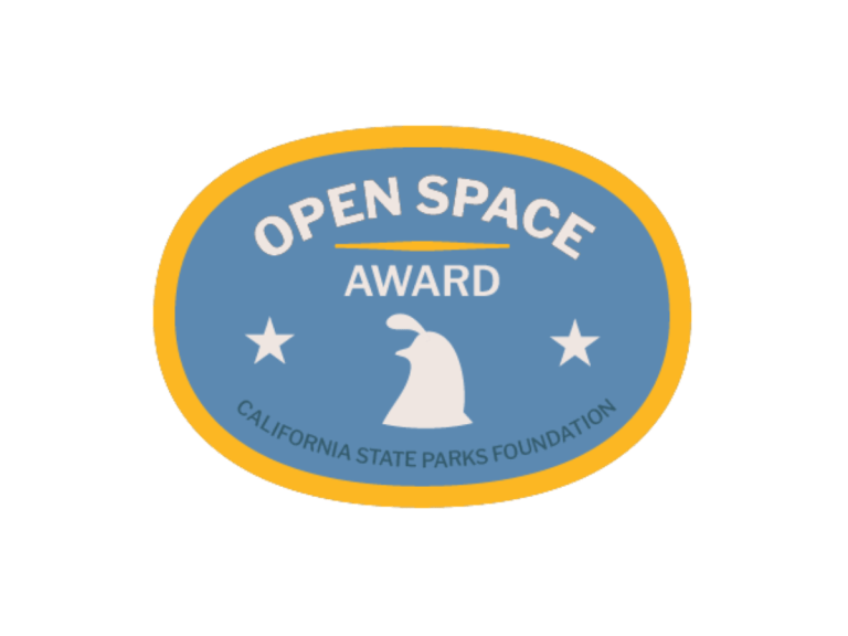 Open Space Award