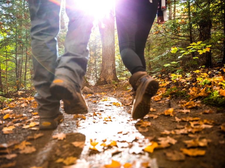 Short Hikes Guide