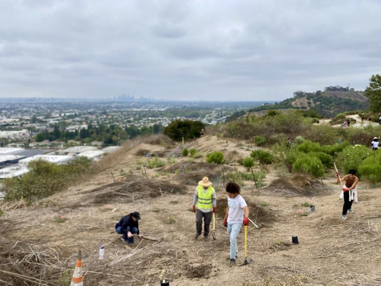 Baldwin Hills Scenic Overlook