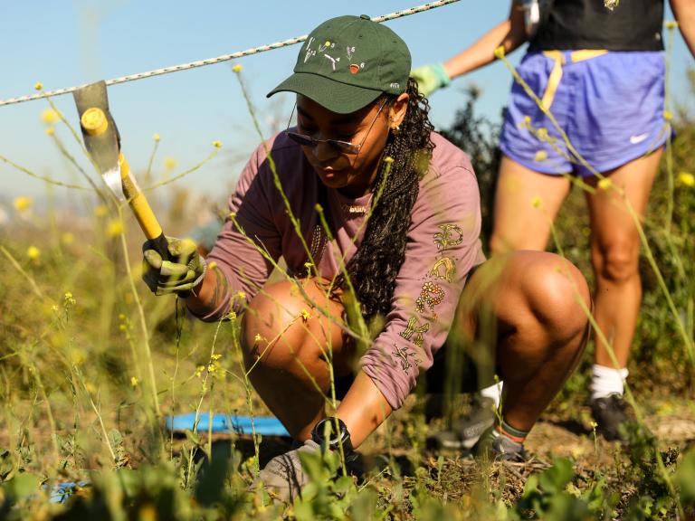 Volunteer at Baldwin Hills Scenic Overlook