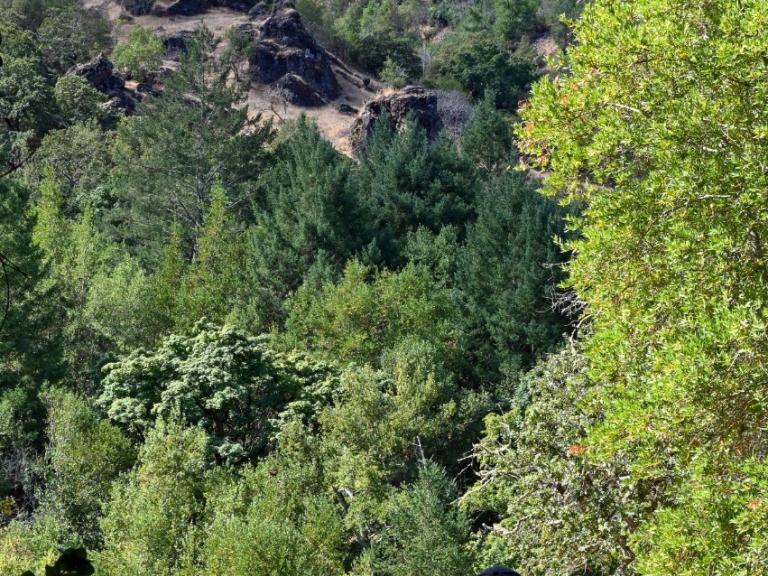 Sugarloaf Ridge CSPW