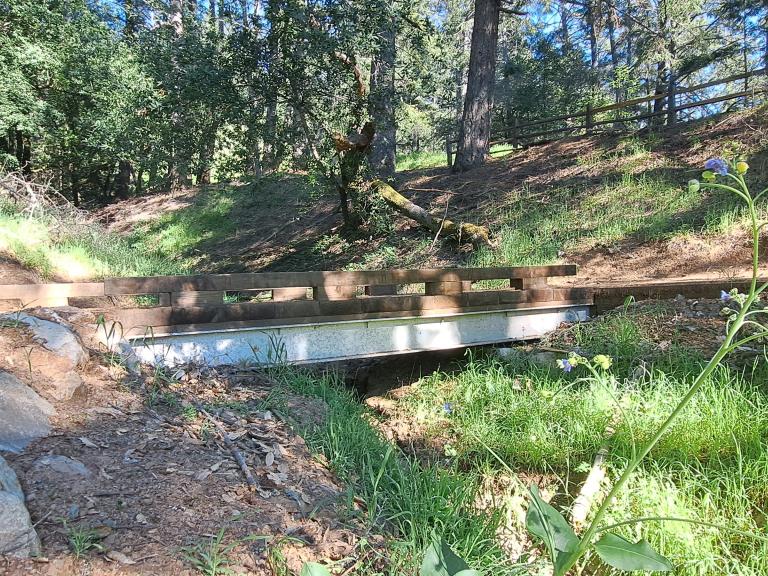 Foot bridge on the Easy Grade Trail at Mount Tamalpais State Park
