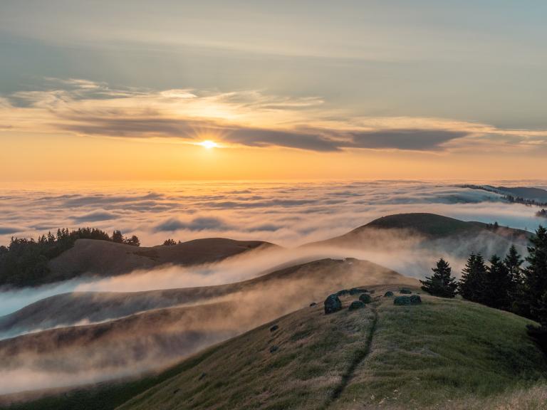 Mount Tamalpais State Park 
