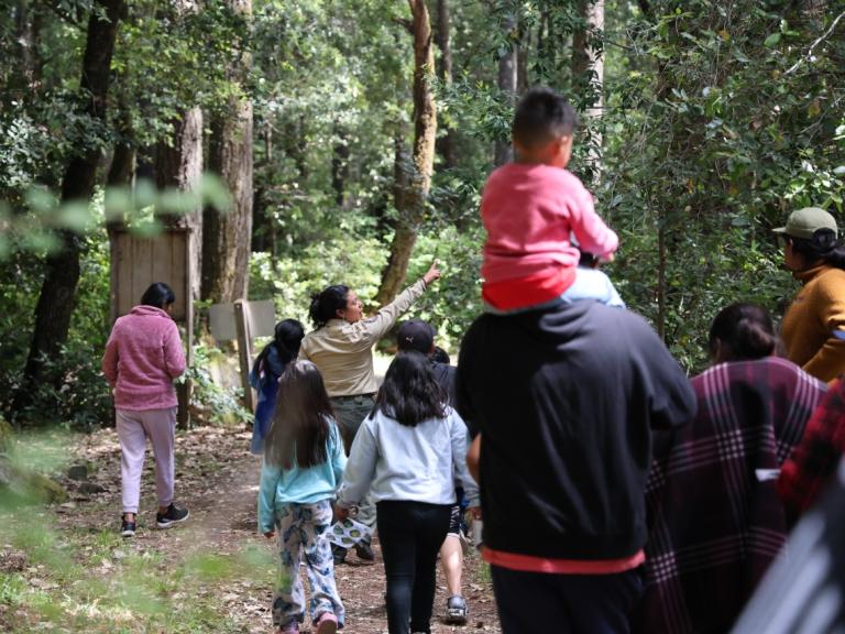 Humboldt Redwoods cSPW
