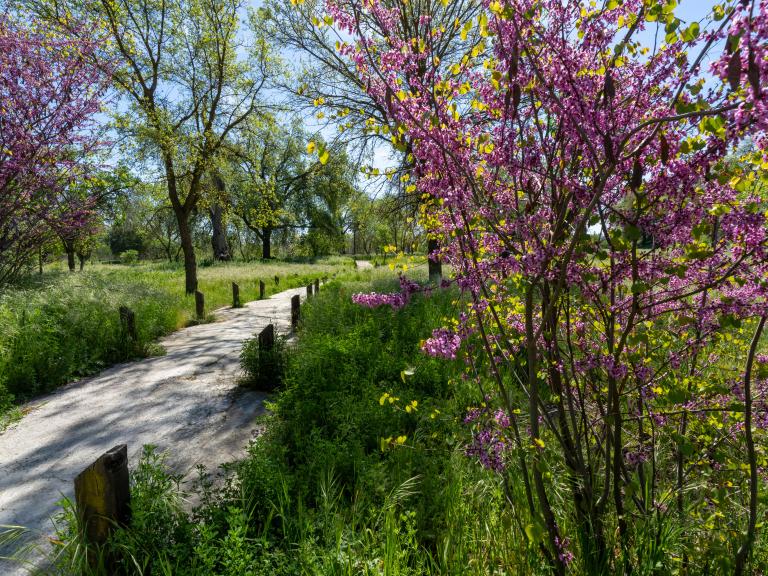San Joaquin River Parkway
