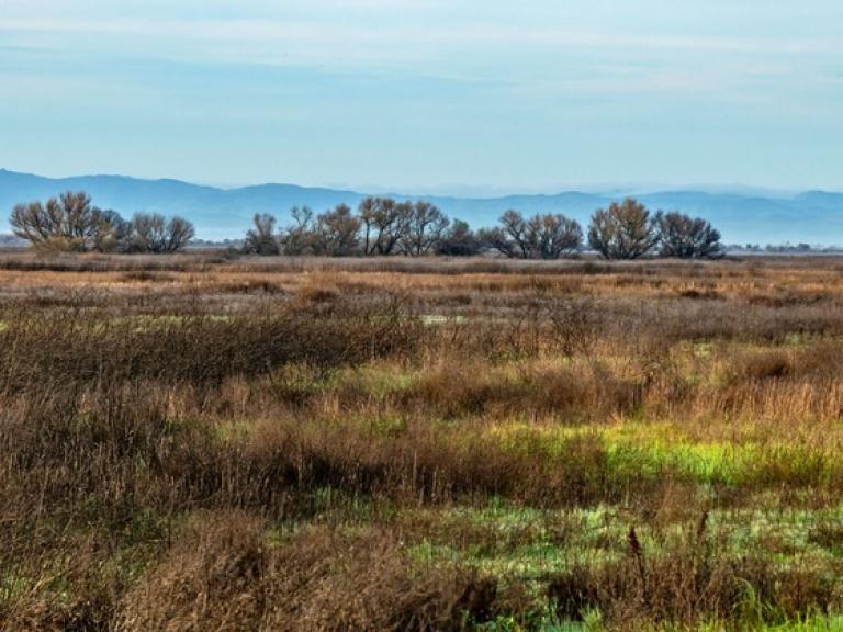Grasslands CSPW