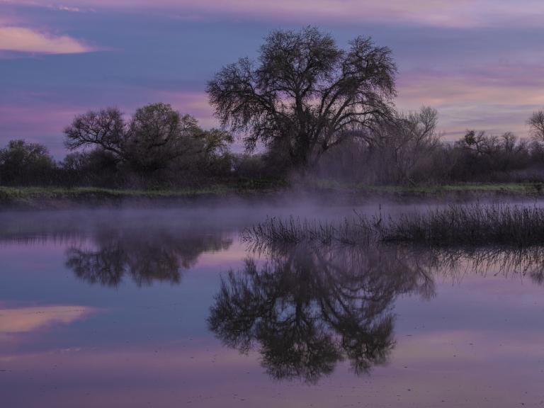 Great Valley Grasslands State Park | Photo: © Brian Baer, 2015, California State Parks.